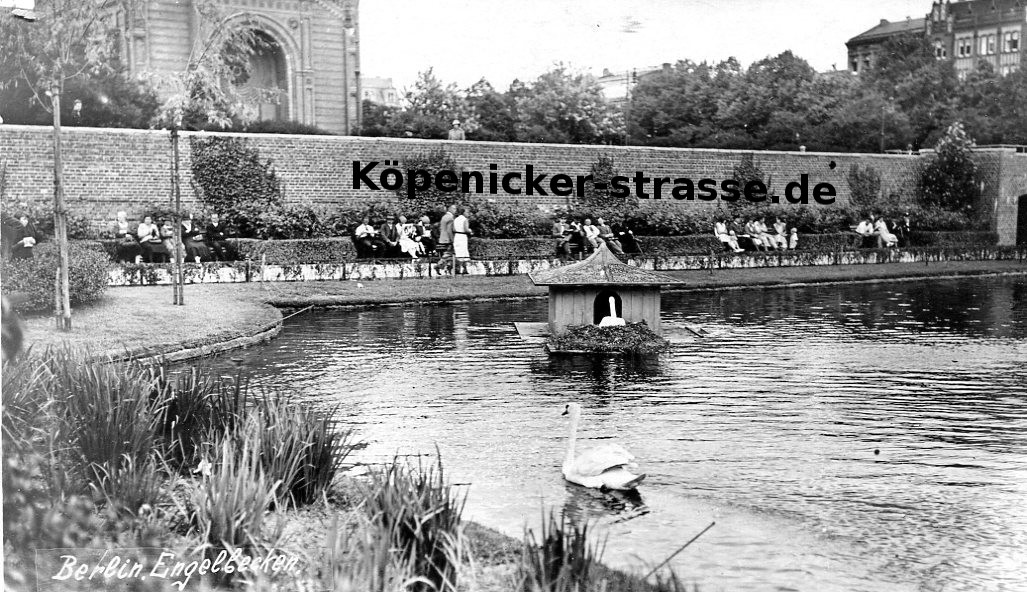 Schwäne am Engelbecken